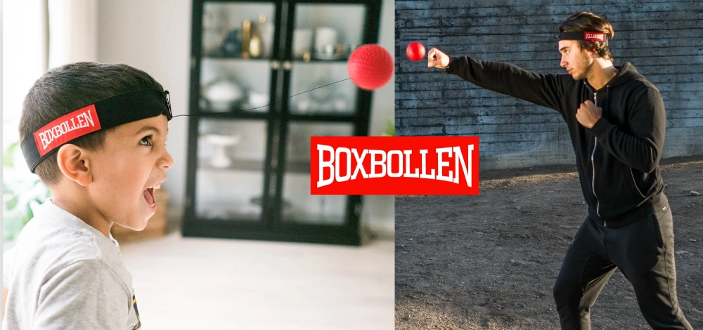 BoxBollen Review 2026: Does This Training Really Work?