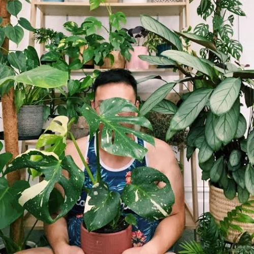 Plant Addicts