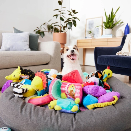 BarkBox Pets