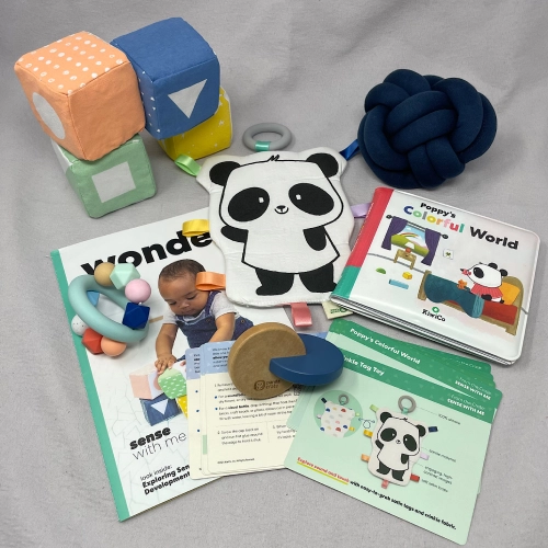 Is the KiwiCo Panda Crate Worth It?