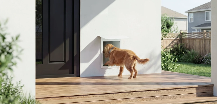 Pawport Smart Pet Door Review: What $699 Actually Buys You