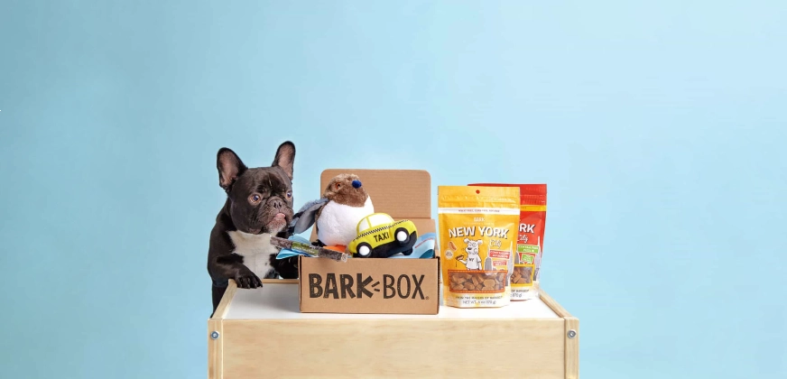 BarkBox Review: What the Subscription Terms Actually Say