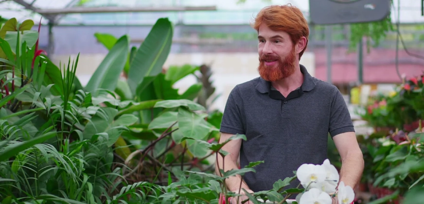 Plant Addicts Review: Do the Plants Actually Arrive Alive?