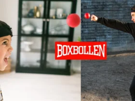 boxbollen Review