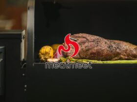 meatmeet S Pro Review