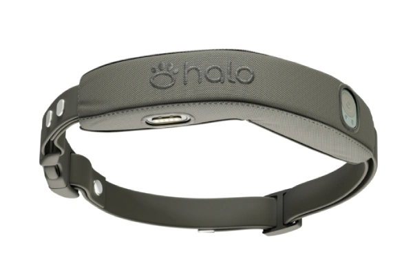 Halo Collar 5 Customer Review