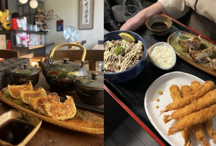 Chiyo Review
