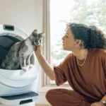 Litter Robot 2 Review