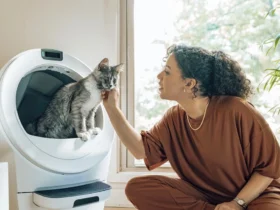 Litter Robot 2 Review