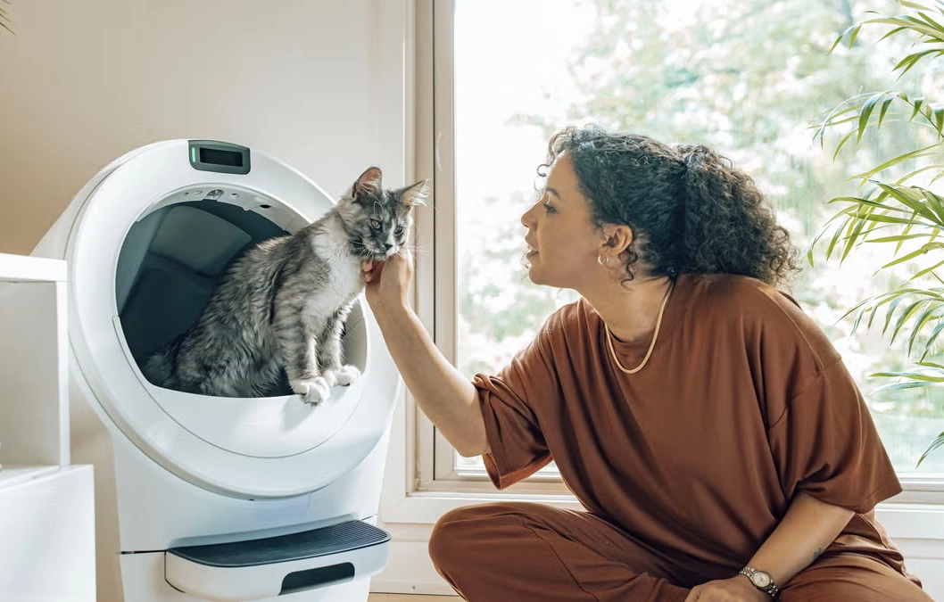 Litter Robot 2 Review